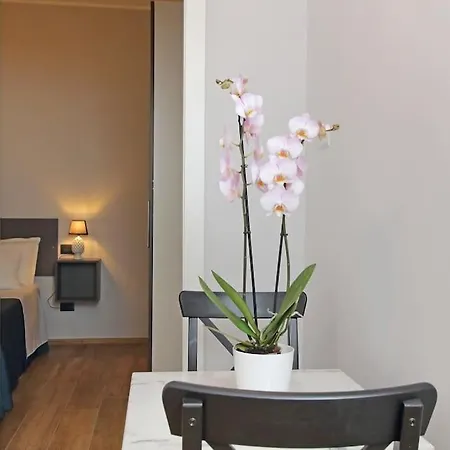 Ostiense Upsidedown Daire